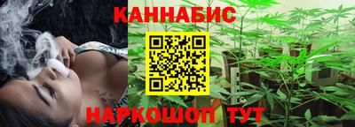 крисы Абакан
