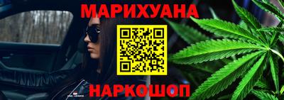 крисы Абакан