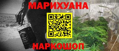 крисы Абакан