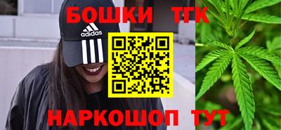 крисы Абакан