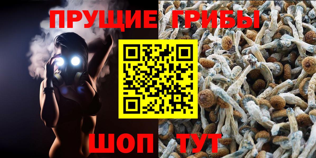 Псилоцибиновые грибы ЛСД Александров