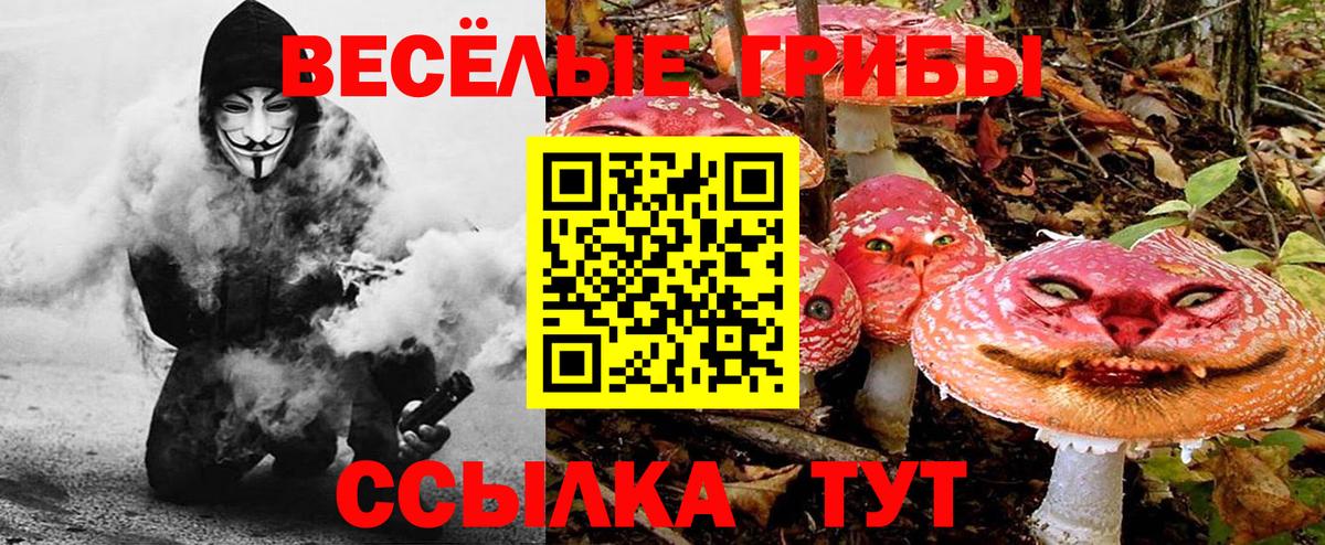 Галлюциногенные грибы прущие грибы  как найти наркотики  Вход с VPN  Александров  Галлюциногенные грибы GOLDEN TEACHER 